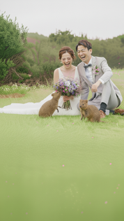 ロットネスト島ウエディングフォトプラン｜ドレス日本試着＆現地レンタル