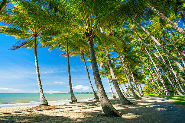 istockphoto-480927080-612x612_a09d3b06-564d-4c15-8e70-b1756cc6b113.jpg
